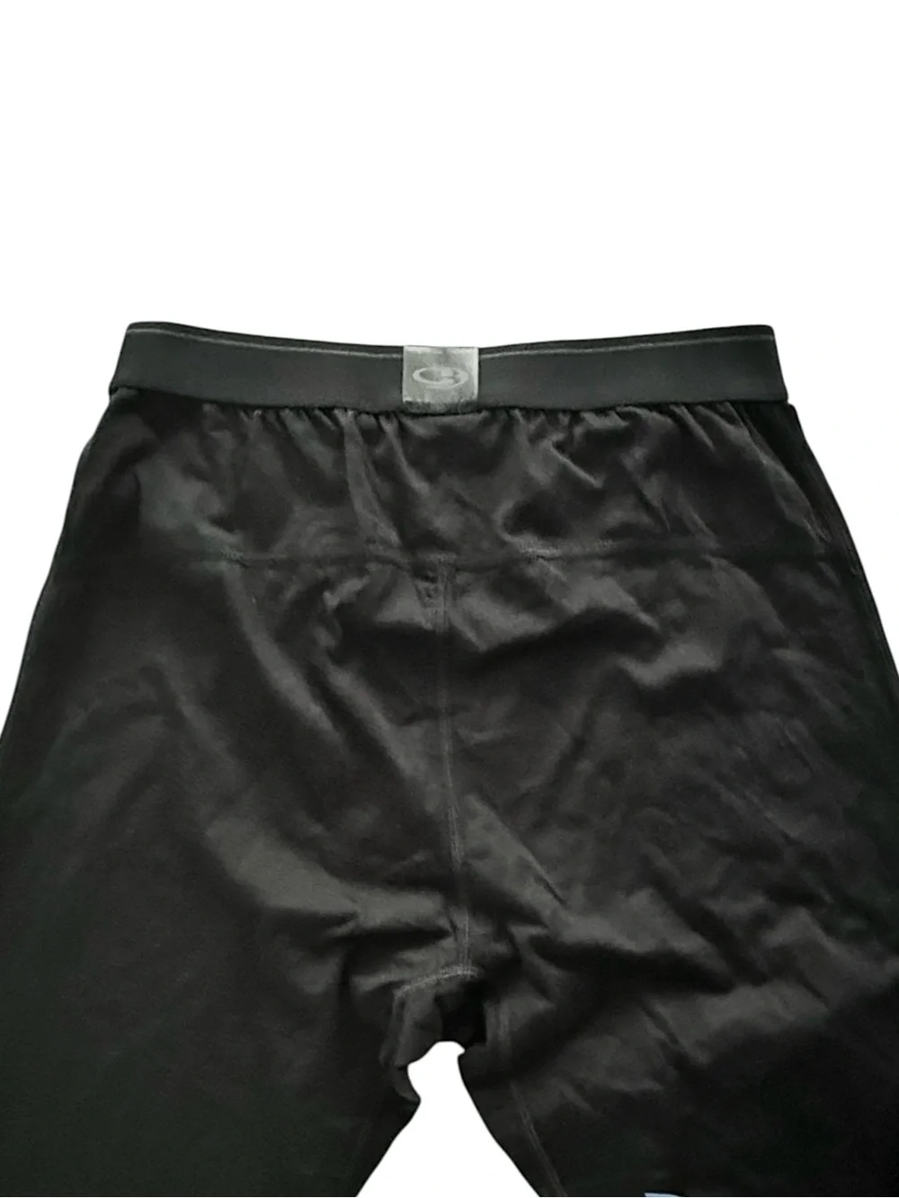 NWOT Icebreaker Merino 200 Oasis Base Layer Leggings with Fly